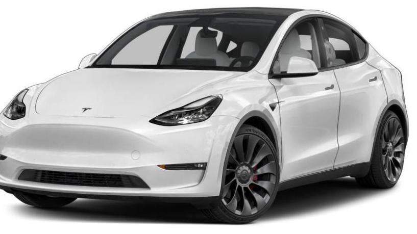 TESLA MODEL Y 2021 5YJYGDEE0MF249237 image